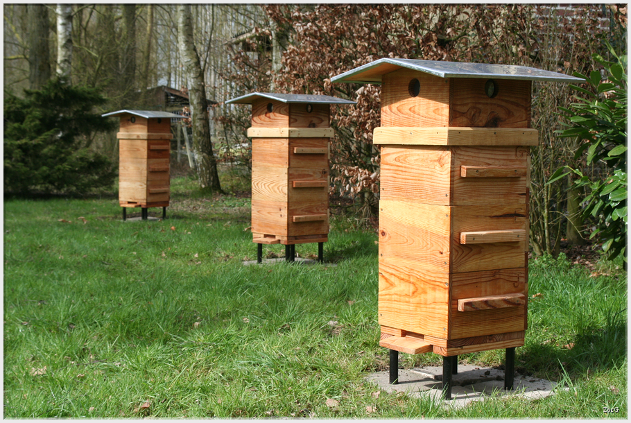 Ruche Warré utilisée en apiculture naturelle pour le développement des colonies